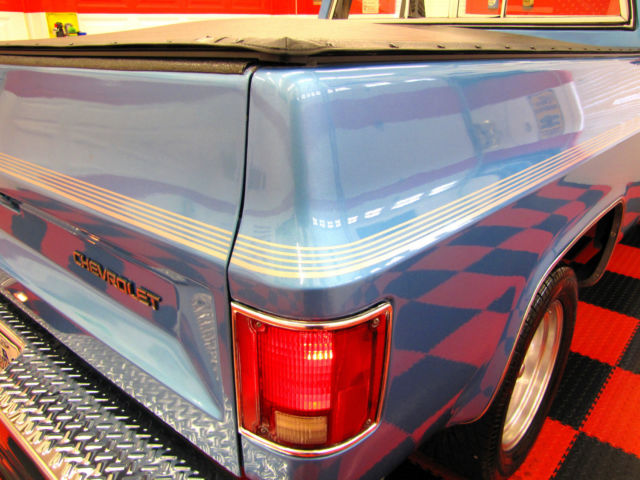 1981 Chevrolet C/K Pickup 1500 SHORT BED - photo 9