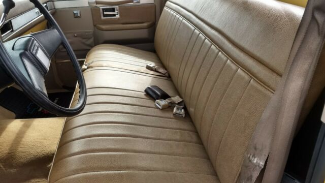 1981 Chevrolet C-10 SILVERADO - photo 10