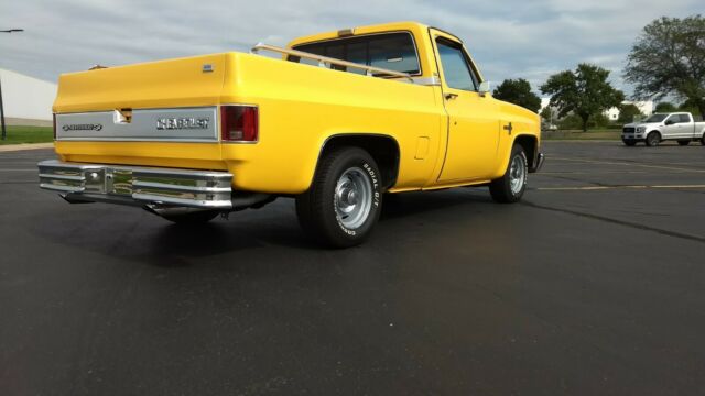 1981 Chevrolet C-10 SILVERADO - photo 5
