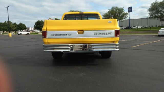 1981 Chevrolet C-10 SILVERADO - photo 6