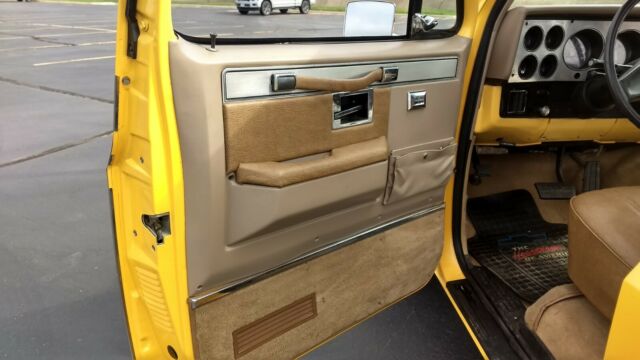 1981 Chevrolet C-10 SILVERADO - photo 9