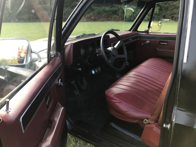 1981 Chevrolet C-10 Custom Deluxe - photo 12
