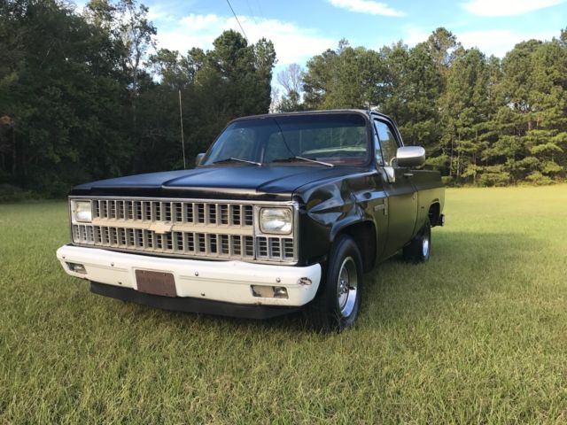 1981 Chevrolet C-10 Custom Deluxe - photo 3