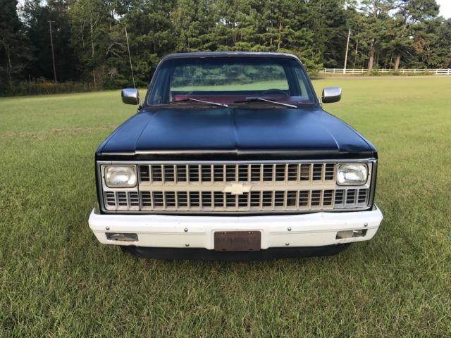 1981 Chevrolet C-10 Custom Deluxe - photo 4