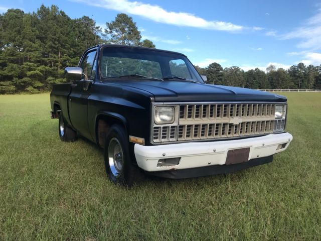 1981 Chevrolet C-10 Custom Deluxe - photo 5