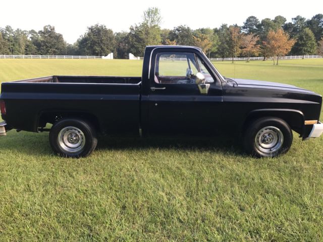 1981 Chevrolet C-10 Custom Deluxe - photo 6