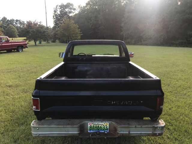 1981 Chevrolet C-10 Custom Deluxe - photo 8