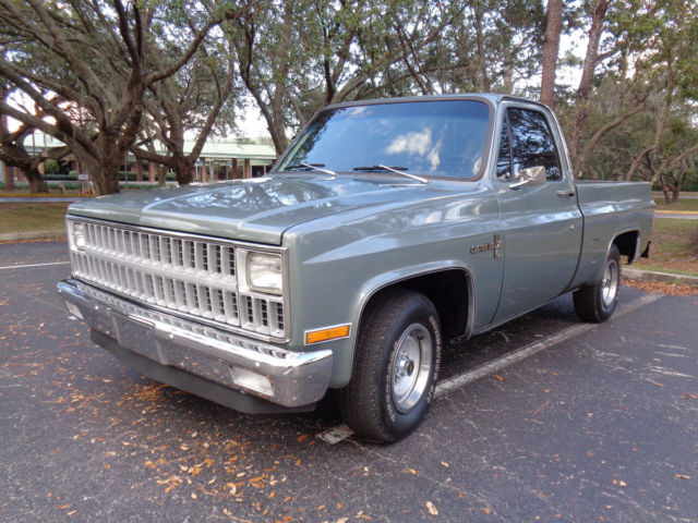 1981 Chevrolet C-10 Custom Deluxe