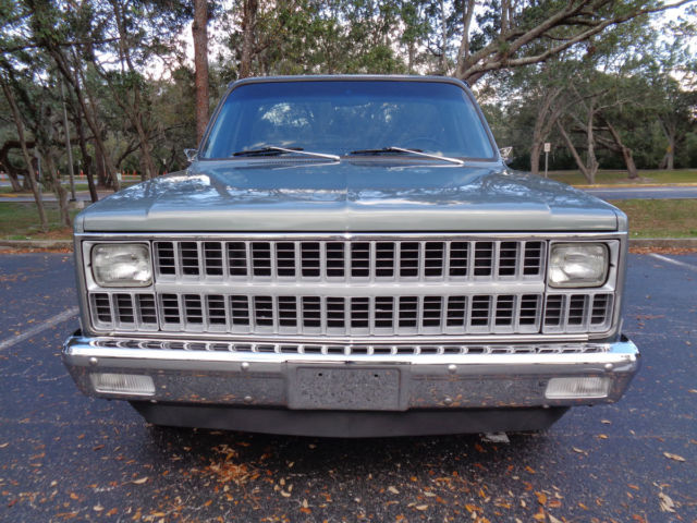 1981 Chevrolet C-10 Custom Deluxe - photo 2