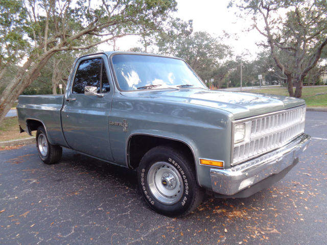 1981 Chevrolet C-10 Custom Deluxe - photo 3