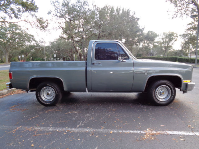 1981 Chevrolet C-10 Custom Deluxe - photo 4