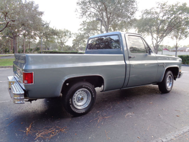 1981 Chevrolet C-10 Custom Deluxe - photo 5