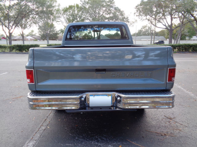 1981 Chevrolet C-10 Custom Deluxe - photo 6