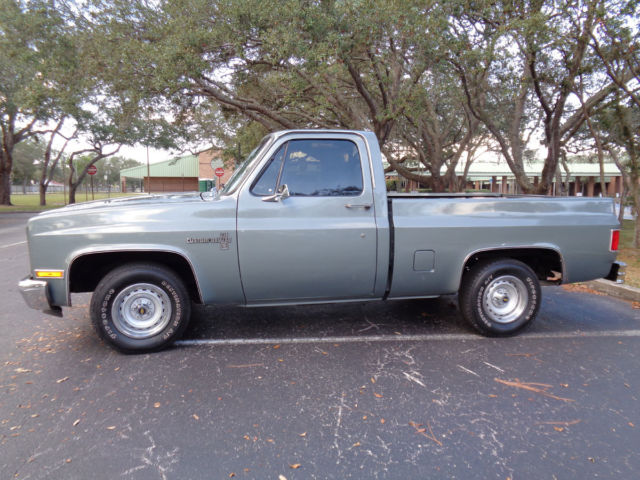 1981 Chevrolet C-10 Custom Deluxe - photo 7
