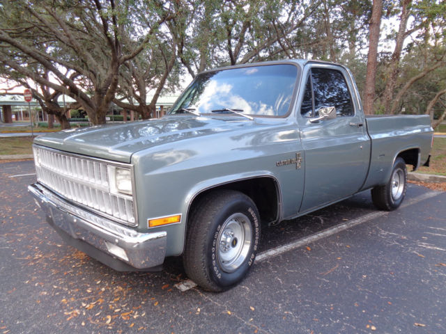1981 Chevrolet C-10 Custom Deluxe - photo 8