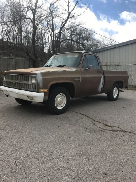 1981 Chevrolet C-10 Deluxe Standard Cab Pickup 2-Door