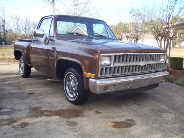 1981 Chevrolet C-10 CUSTOM