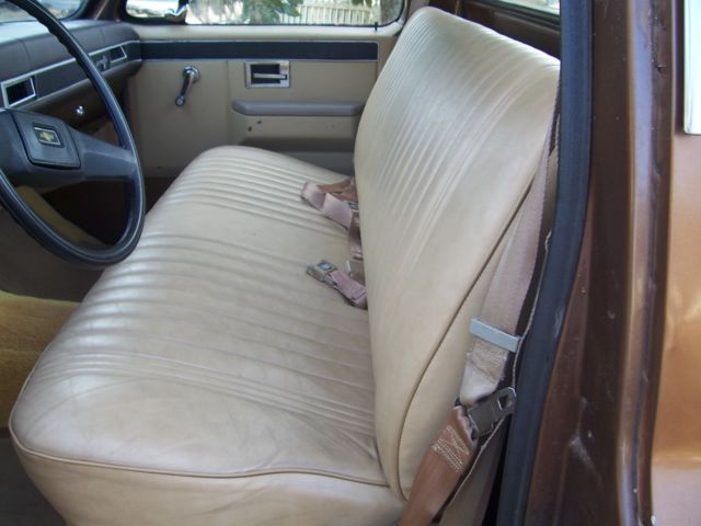 1981 Chevrolet C-10 CUSTOM - photo 12