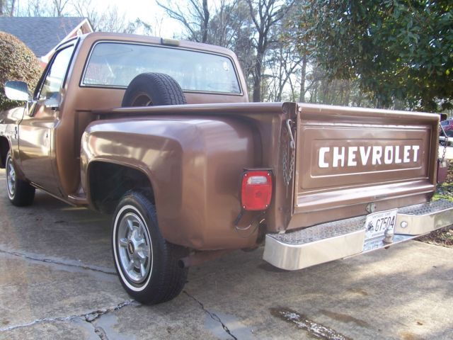 1981 Chevrolet C-10 CUSTOM - photo 3