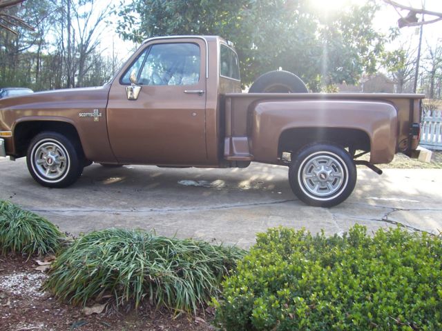 1981 Chevrolet C-10 CUSTOM - photo 4