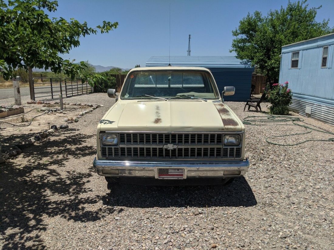 1981 Chevrolet C10 Cheyenne - photo 2