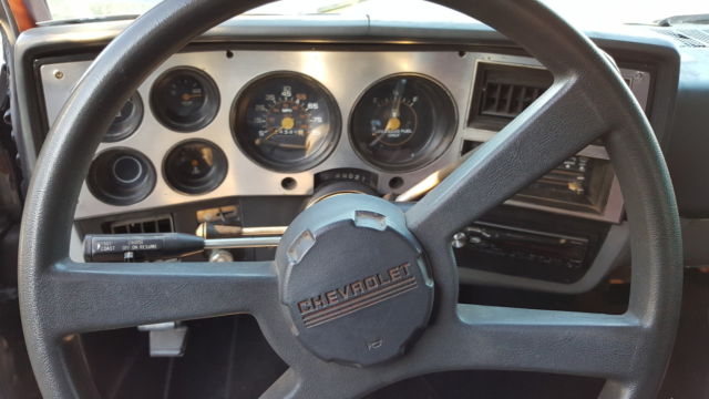 1981 Chevrolet C-10 Silverado - photo 9