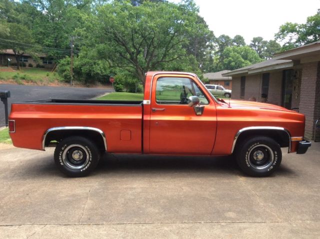 1981 Chevrolet C-10 Turbo 350 V8 - photo 6