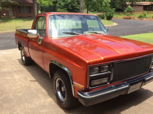 1981 Chevrolet C-10 Turbo 350 V8 - photo 7