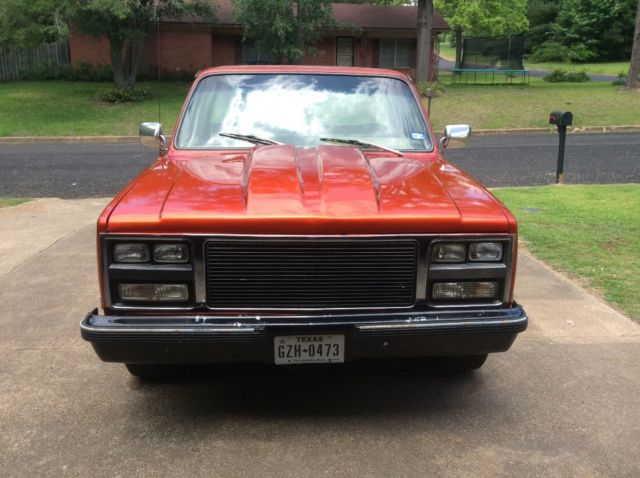 1981 Chevrolet C-10 Turbo 350 V8 - photo 8