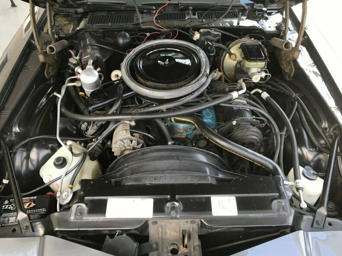 1981 Chevrolet Camaro 2dr Coupe - photo 9