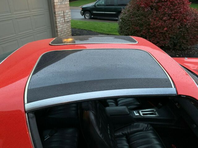 1981 Chevrolet Camaro Berlinetta - photo 5