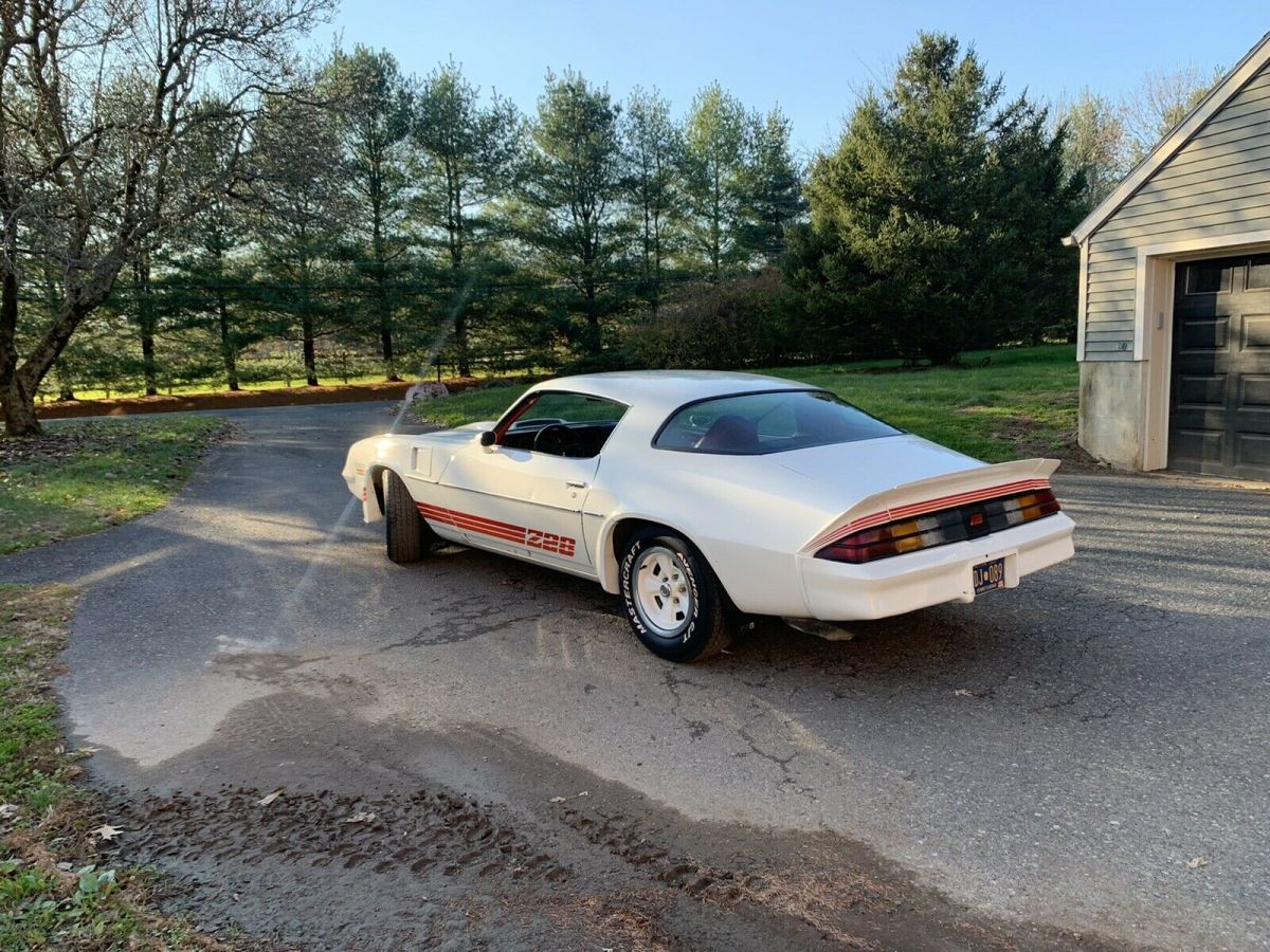 1981 Chevrolet Camaro Z28 - photo 10