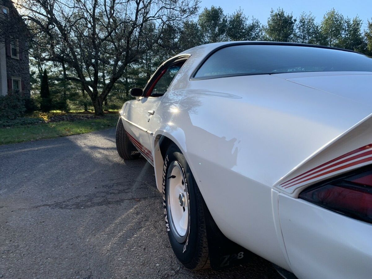 1981 Chevrolet Camaro Z28 - photo 13