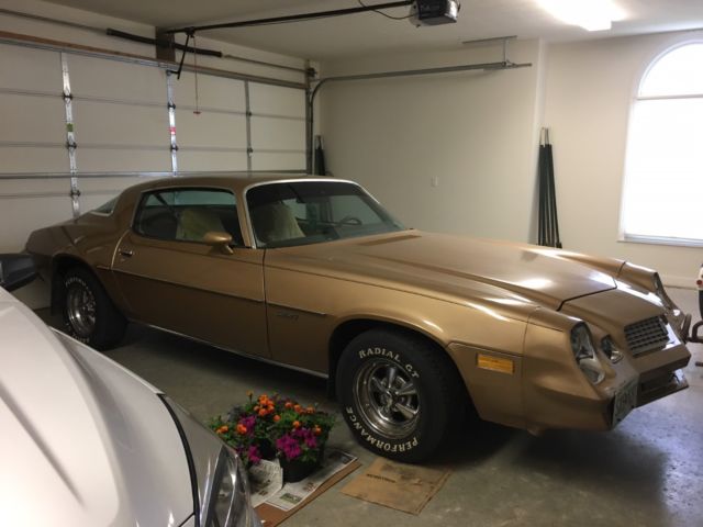 1981 Chevrolet Camaro Sports Coupe - Unmolested - Always Garaged 1981 Chevrolet Camaro Sport Coupe