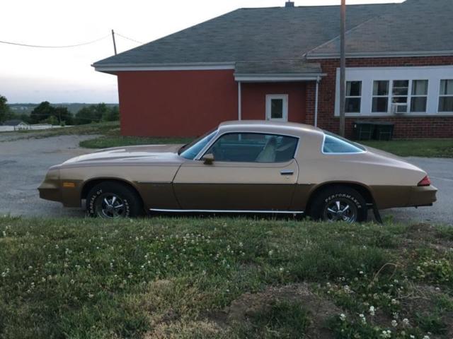 1981 Chevrolet Camaro Sport Coupe - photo 4