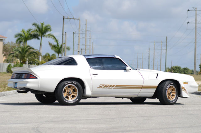 1981 Chevrolet Camaro Z28 - photo 6