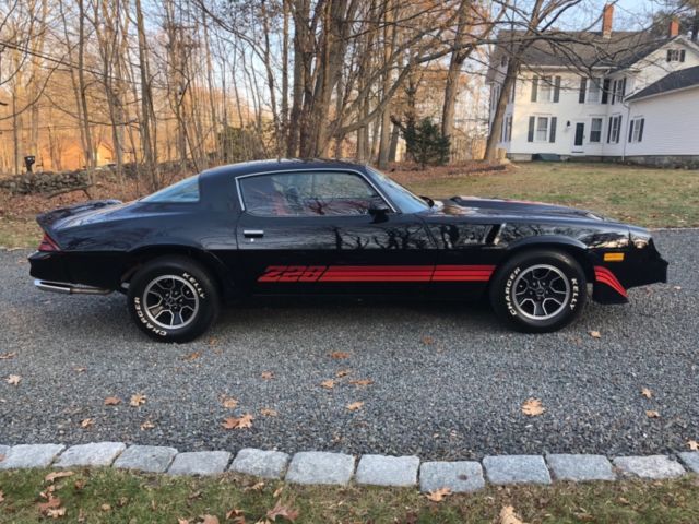 1981 Chevrolet Camaro Z28 - photo 10