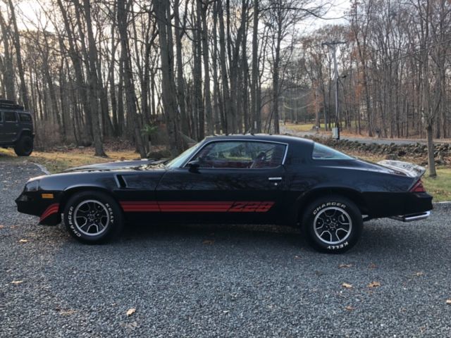 1981 Chevrolet Camaro Z28 - photo 13
