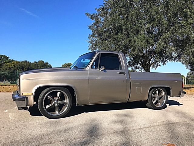 1981 Chevrolet C-10 Silverado - photo 6