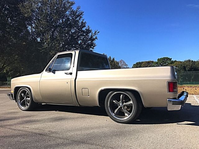 1981 Chevrolet C-10 Silverado - photo 7