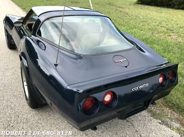 1981 Chevrolet Corvette 2dr COUPE T-TOP - photo 5