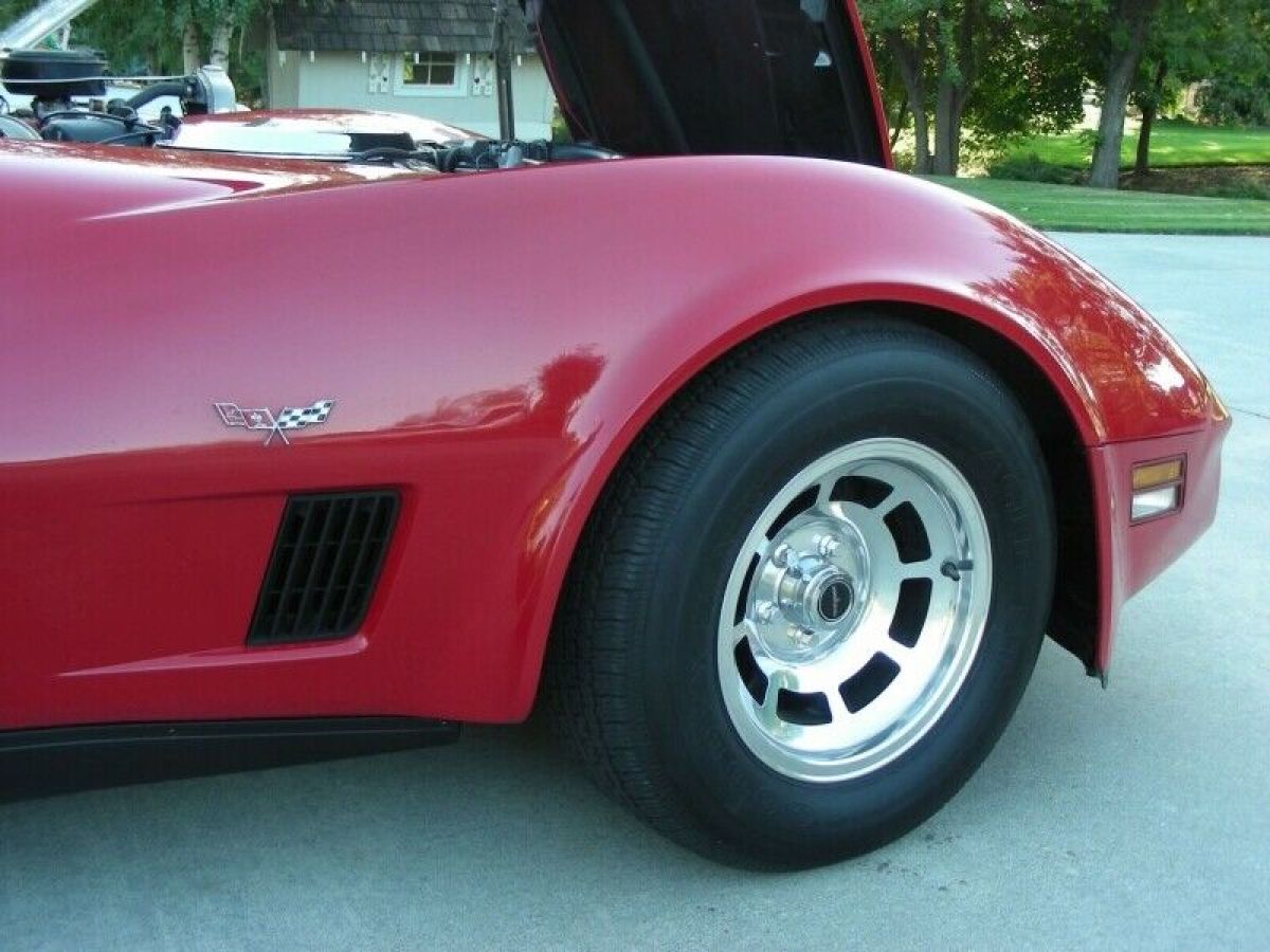 1981 Chevrolet Corvette 2dr Coupe - photo 6