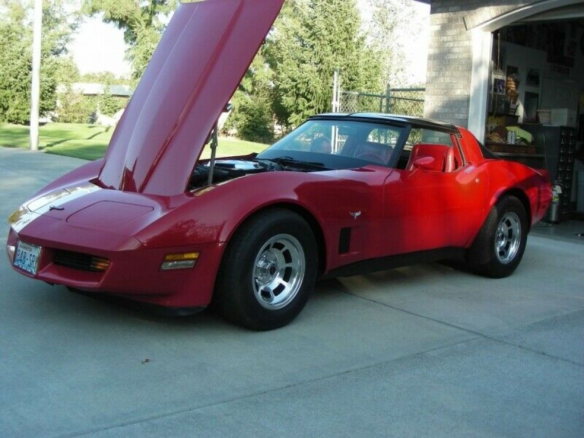 1981 Chevrolet Corvette 2dr Coupe - photo 9
