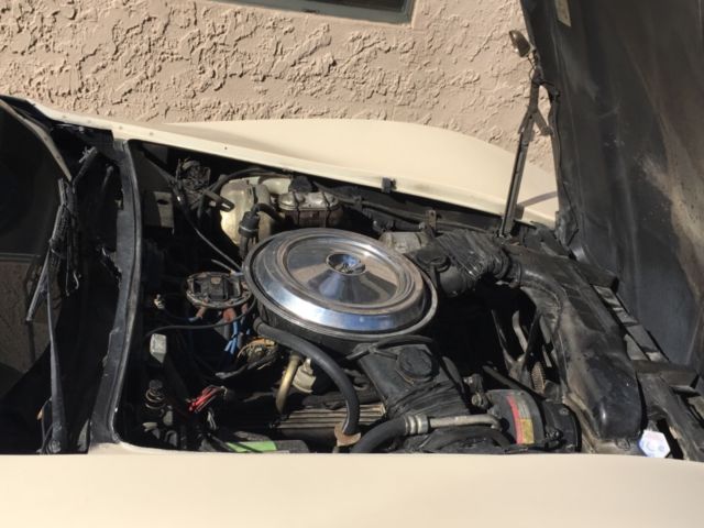 1981 Chevrolet Corvette - photo 12