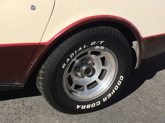 1981 Chevrolet Corvette - photo 7