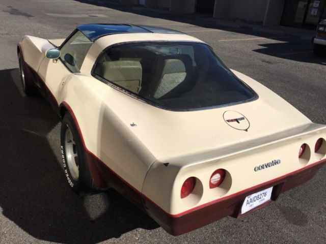1981 Chevrolet Corvette - photo 8