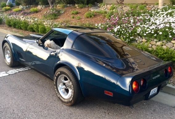 1981 Chevrolet Corvette - photo 12