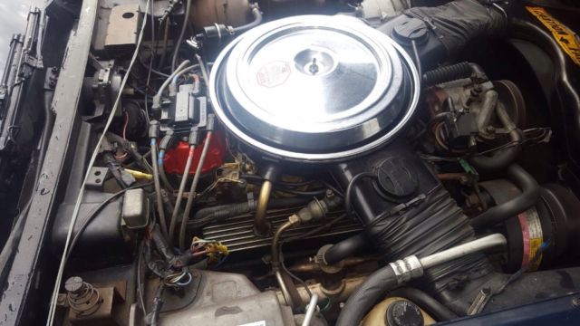 1981 Chevrolet Corvette - photo 6