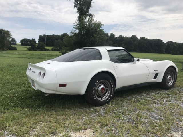 1981 Chevrolet Corvette - photo 11