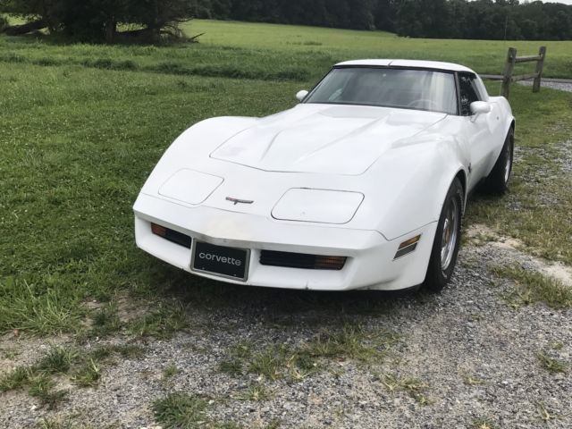1981 Chevrolet Corvette - photo 3